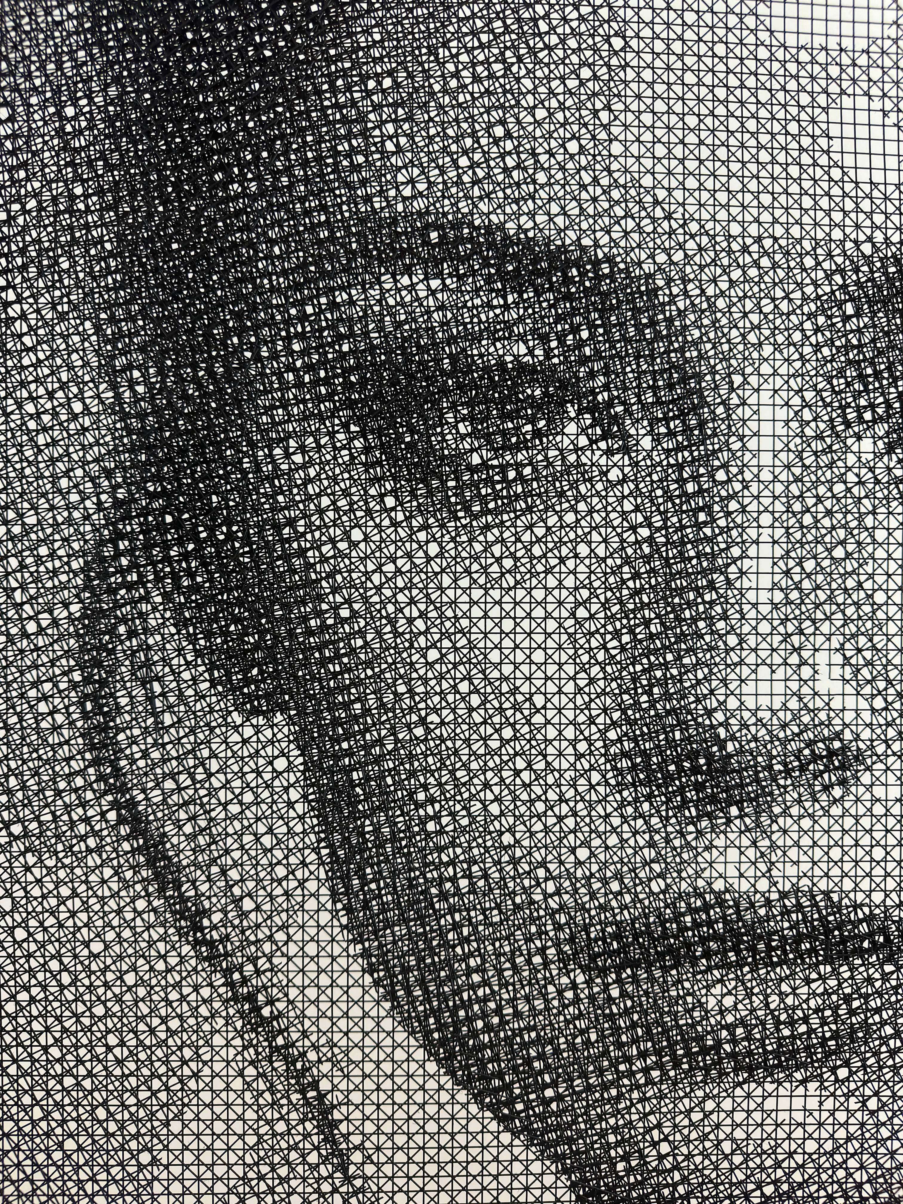 Aphrodite: Close-up of a woman's portrait crafted in wire mesh